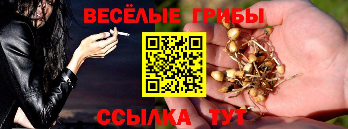 Псилоцибиновые грибы прущие грибы Артём
