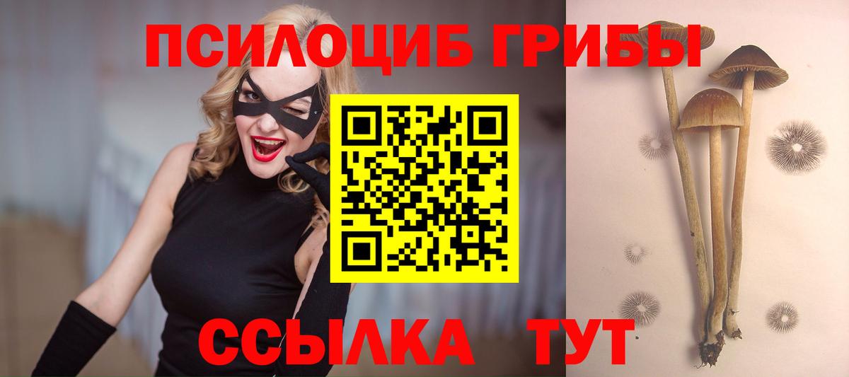 Галлюциногенные грибы GOLDEN TEACHER  Вход с VPN  Артём  Галлюциногенные грибы Psilocybe 